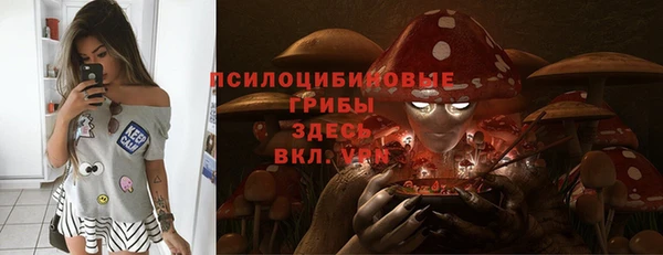 молекула духа Алексеевка