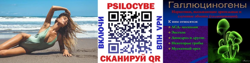 Галлюциногенные грибы Psilocybine cubensis  KRAKEN сайт  Фурманов 